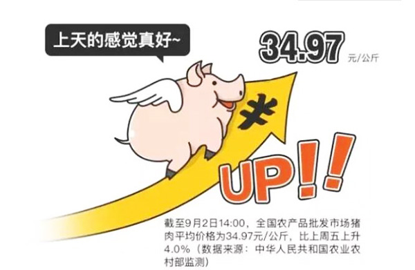 豬肉價格上漲